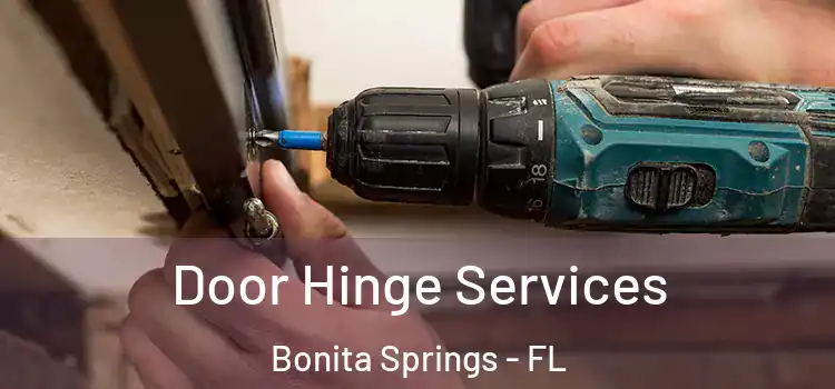  Door Hinge Services Bonita Springs - FL