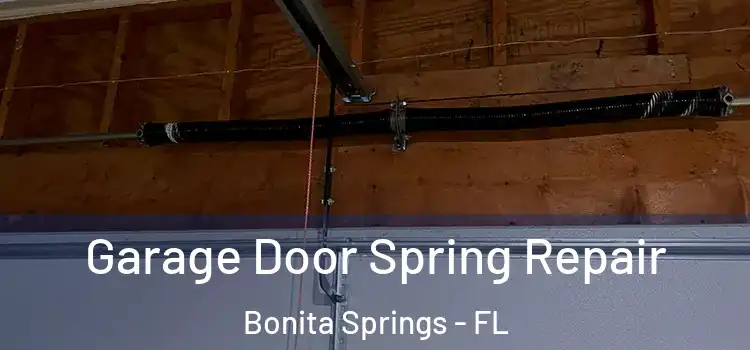  Garage Door Spring Repair Bonita Springs - FL