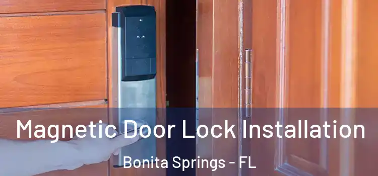  Magnetic Door Lock Installation Bonita Springs - FL